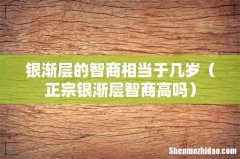 正宗银渐层智商高吗 银渐层的智商相当于几岁