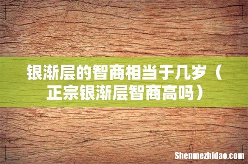 正宗银渐层智商高吗 银渐层的智商相当于几岁