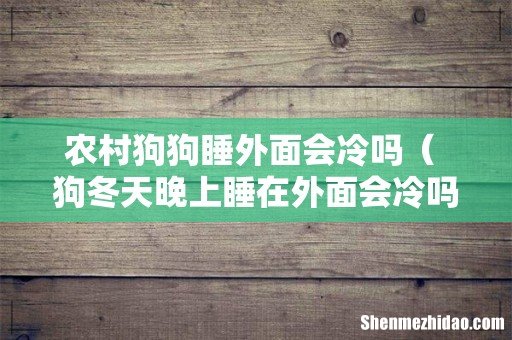 狗冬天晚上睡在外面会冷吗 农村狗狗睡外面会冷吗