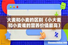 小大麦和小麦谁的营养价值最高 大麦和小麦的区别