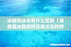 海鲜是冰鲜的好还是冷冻的好 冰鲜和冰冻有什么区别