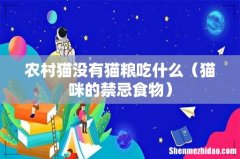 猫咪的禁忌食物 农村猫没有猫粮吃什么