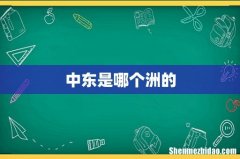 中东是哪个洲的