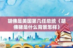 胡佛猪是什么背景怎样 胡佛是美国第几任总统