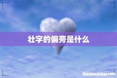 壮字的偏旁是什么