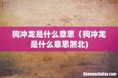 狗冲龙是什么意思（狗冲龙是什么意思煞北)