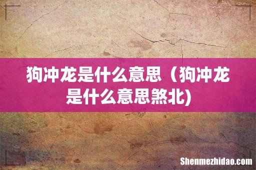 狗冲龙是什么意思（狗冲龙是什么意思煞北)