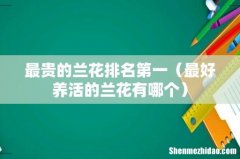 最好养活的兰花有哪个 最贵的兰花排名第一