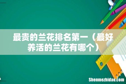 最好养活的兰花有哪个 最贵的兰花排名第一