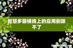 智慧多窗横线上的应用删除不了