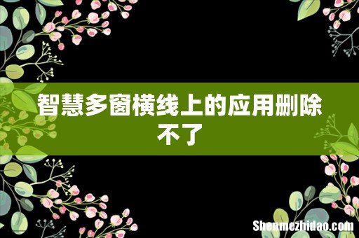 智慧多窗横线上的应用删除不了