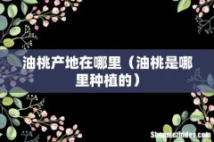 油桃是哪里种植的 油桃产地在哪里