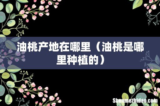 油桃是哪里种植的 油桃产地在哪里