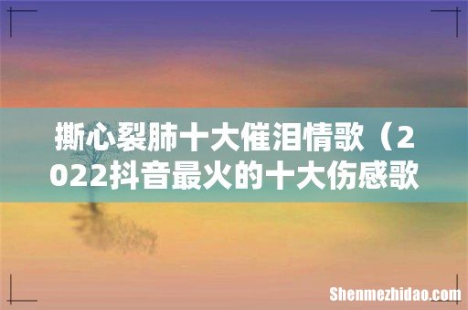 2022抖音最火的十大伤感歌曲 撕心裂肺十大催泪情歌