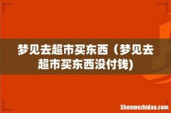 梦见去超市买东西（梦见去超市买东西没付钱)