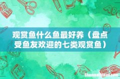 盘点受鱼友欢迎的七类观赏鱼 观赏鱼什么鱼最好养