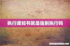 执行通知书就是强制执行吗