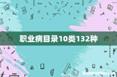 职业病目录10类132种