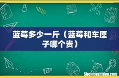 蓝莓和车厘子哪个贵 蓝莓多少一斤