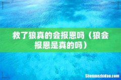 狼会报恩是真的吗 救了狼真的会报恩吗