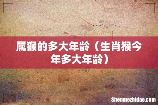 生肖猴今年多大年龄 属猴的多大年龄