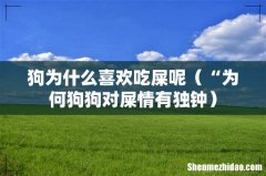 “为何狗狗对屎情有独钟 狗为什么喜欢吃屎呢