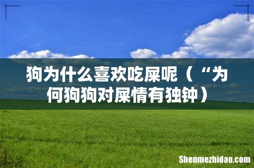 “为何狗狗对屎情有独钟 狗为什么喜欢吃屎呢
