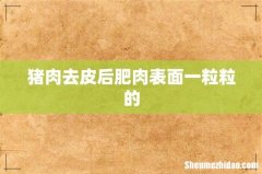 猪肉去皮后肥肉表面一粒粒的