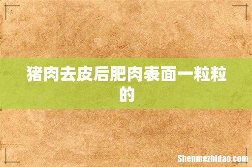 猪肉去皮后肥肉表面一粒粒的