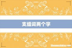 支组词两个字