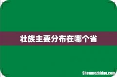 壮族主要分布在哪个省