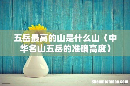 中华名山五岳的准确高度 五岳最高的山是什么山