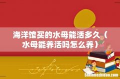 水母能养活吗怎么养 海洋馆买的水母能活多久