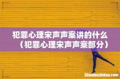犯罪心理宋声声案部分 犯罪心理宋声声案讲的什么
