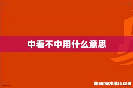 中看不中用什么意思