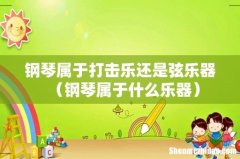 钢琴属于什么乐器 钢琴属于打击乐还是弦乐器