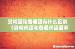 受精鸡蛋和普通鸡蛋营养一样吗 受精蛋和普通蛋有什么区别