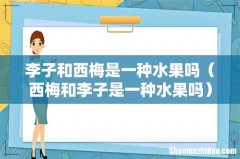 西梅和李子是一种水果吗 李子和西梅是一种水果吗