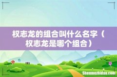 权志龙是哪个组合 权志龙的组合叫什么名字
