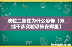 双缝干涉实验恐怖在哪里 波粒二象性为什么恐怖
