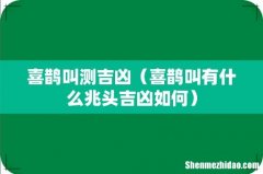 喜鹊叫有什么兆头吉凶如何 喜鹊叫测吉凶