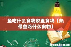 热带鱼吃什么食物 鱼吃什么食物家里食物