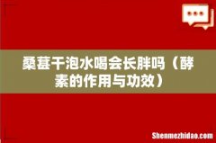 酵素的作用与功效 桑葚干泡水喝会长胖吗