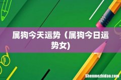 属狗今天运势（属狗今日运势女)
