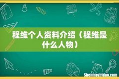 程维是什么人物 程维个人资料介绍