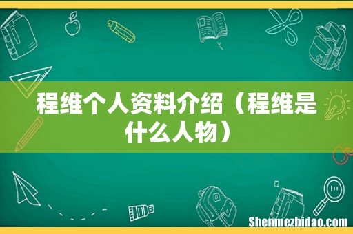 程维是什么人物 程维个人资料介绍