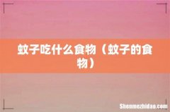 蚊子的食物 蚊子吃什么食物