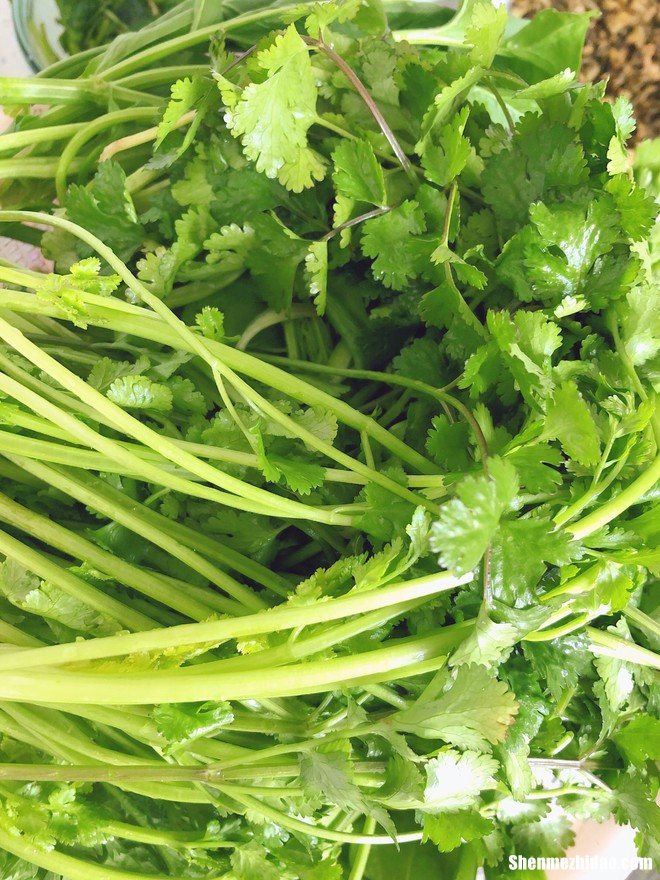 香菜根怎么做咸菜 香菜根做咸菜的做法视频