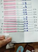 怎么知道排卵期有没有排卵 怎么知道排卵期有没有排卵呢