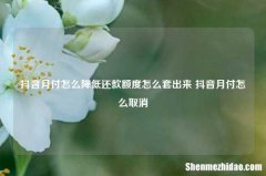 抖音月付怎么降低还款额度怎么套出来 抖音月付怎么取消